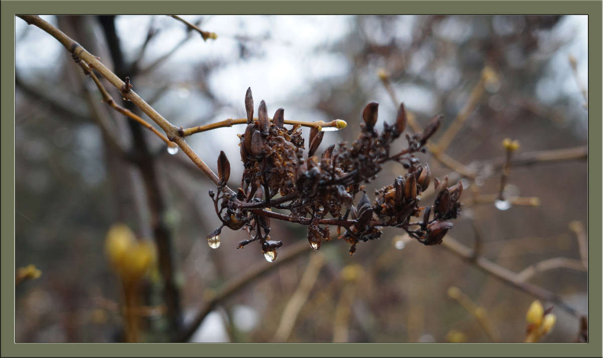 ������ � ����� ����� ������  �� PhotoGeek.ru #������ ��� �������