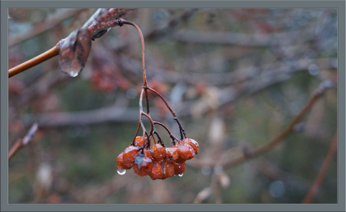 ������ � ����� 3 ����� ������  �� PhotoGeek.ru #������ ��� �������