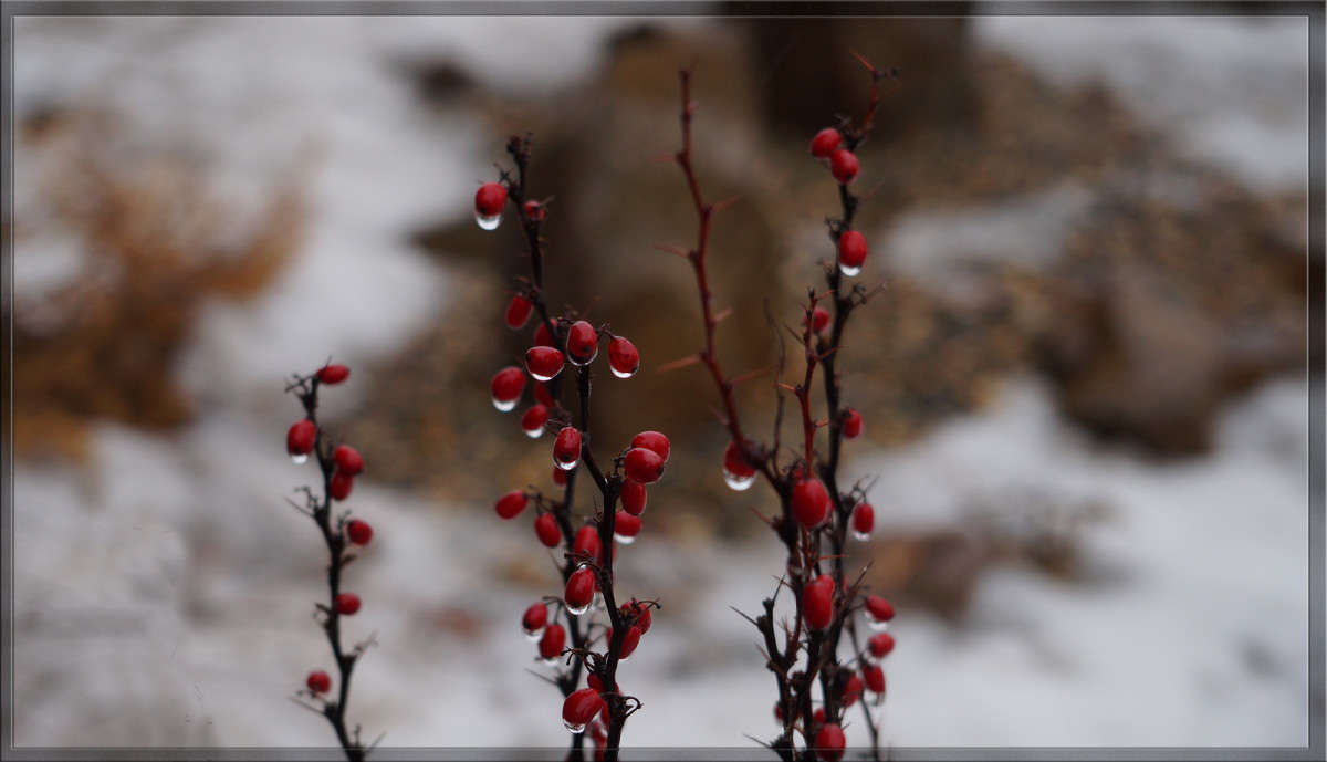 ������ � ����� 4 ����� ������  �� PhotoGeek.ru #������ ��� �������