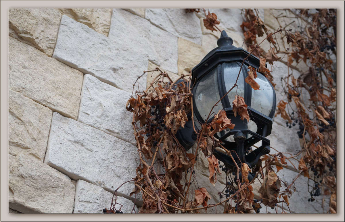 ������� � ������� ����� ������  �� PhotoGeek.ru #�������� ����������