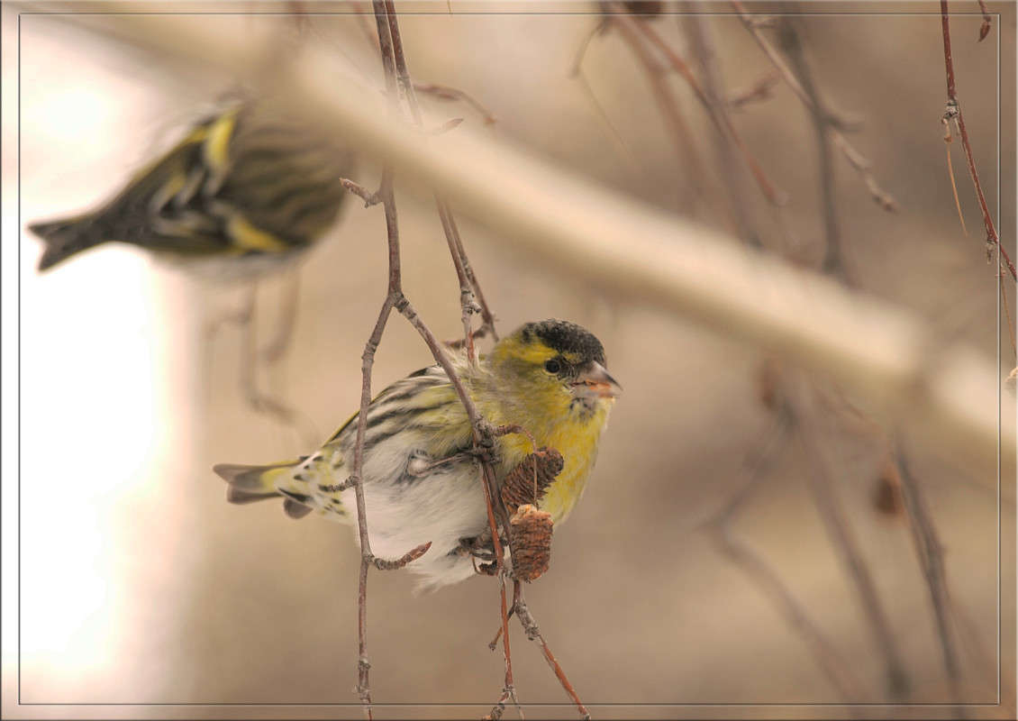 ��������� ����� ����� ������  �� PhotoGeek.ru #�������� ���