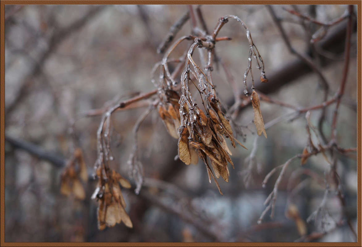 ���� ���� � ������ ����� ������  �� PhotoGeek.ru #������ ��� �������