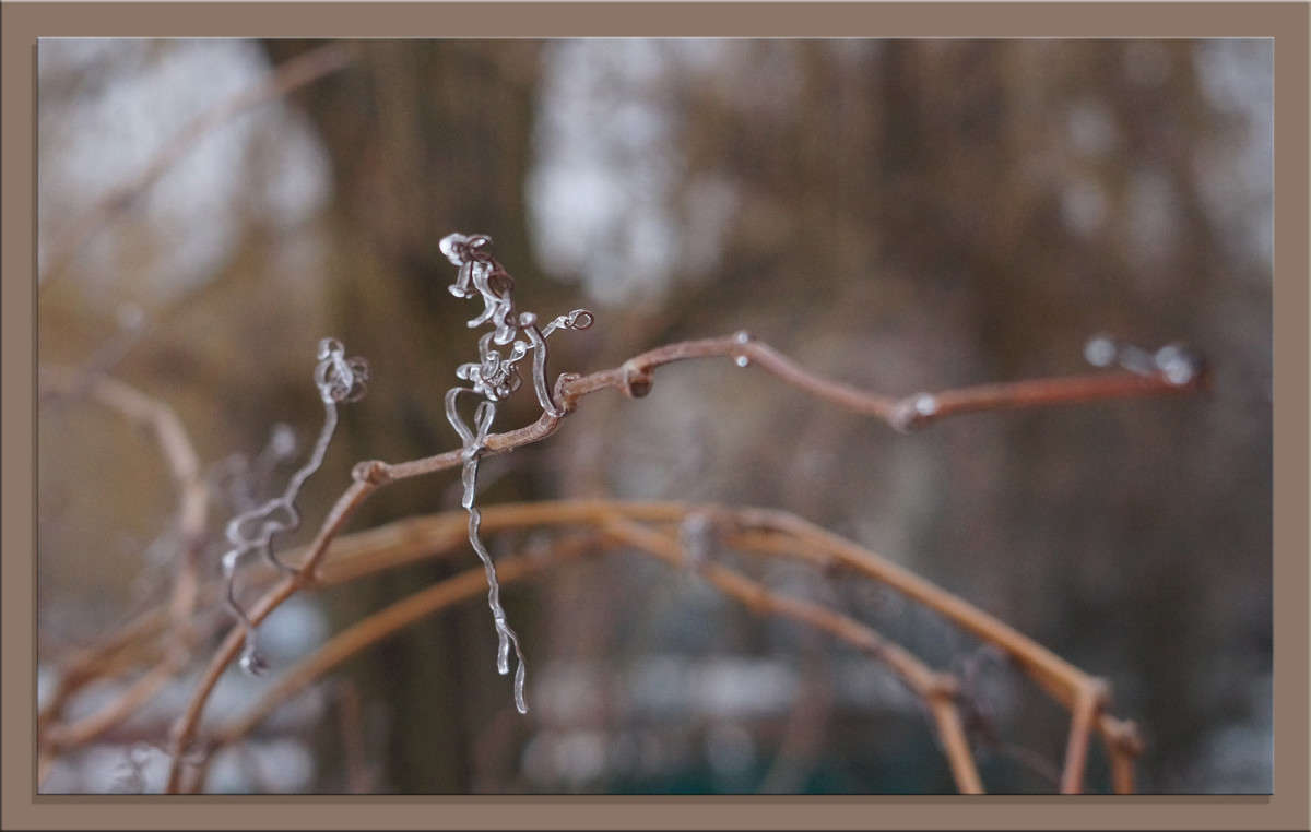 ���������� ����� ������  �� PhotoGeek.ru #������ ��� �������