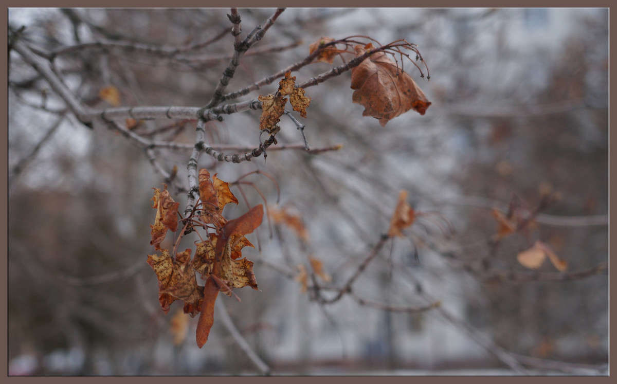 ������ ��� ��������� ������ ����� ������  �� PhotoGeek.ru #������ ��� �������