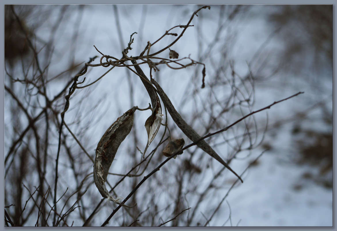 ������� ����� ������  �� PhotoGeek.ru #������ ��� �������