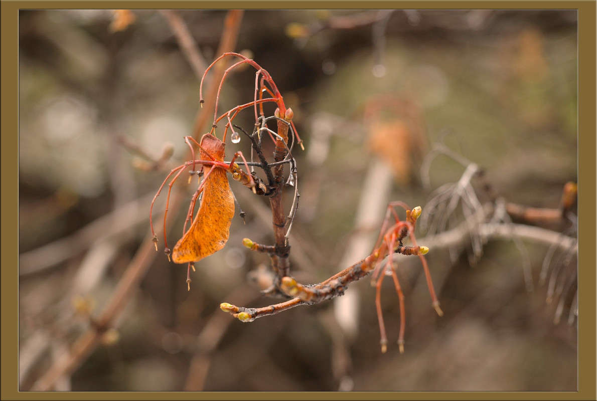 � �������� � ����� ����� ������  �� PhotoGeek.ru #������ ��� �������