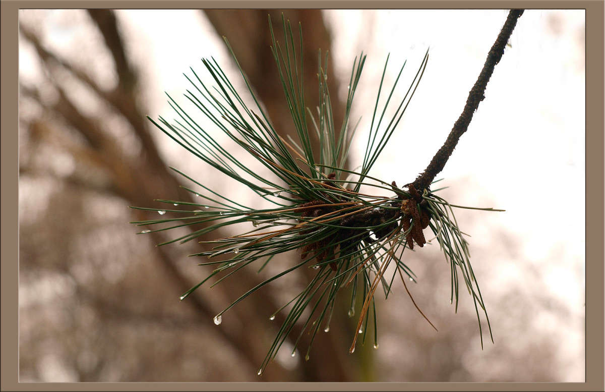 ����� ����� ������  �� PhotoGeek.ru #������ ��� �������