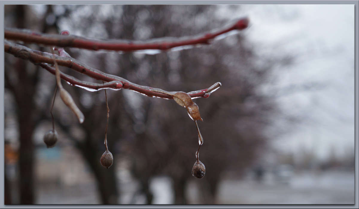 ���� ���� � ������ 2 ����� ������  �� PhotoGeek.ru #������ ��� �������