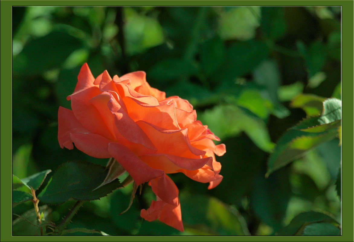 � ������� ������� � ���� ����� ������  �� PhotoGeek.ru #������ ��� �������