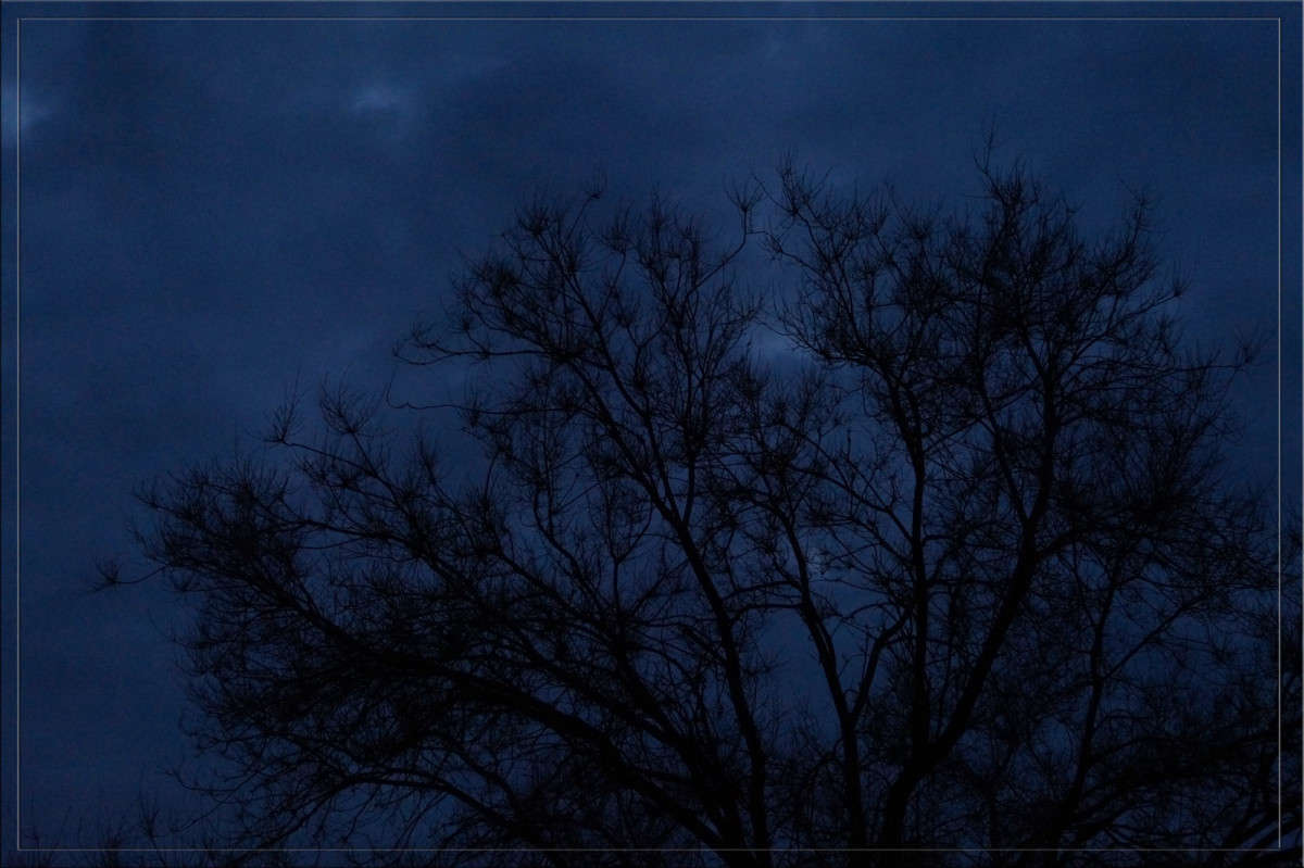 � ����� ����� ������  �� PhotoGeek.ru #������ ��� �������