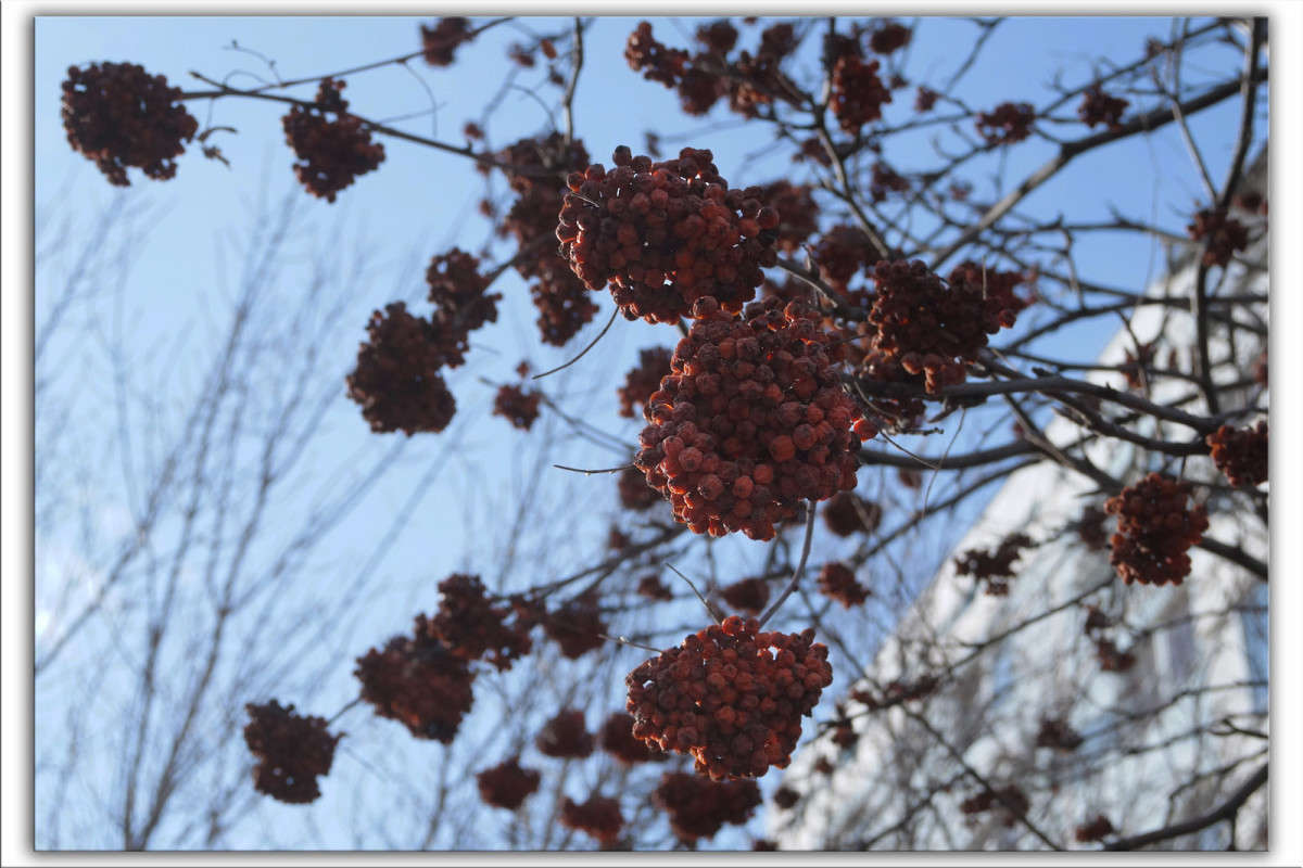 �������� ����� ������  �� PhotoGeek.ru #������ ��� �������