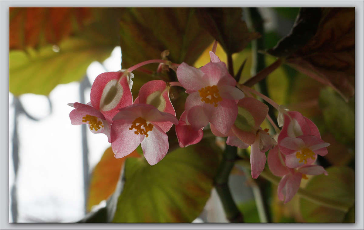 ��������-�������� ����� ������  �� PhotoGeek.ru #�������� ����������