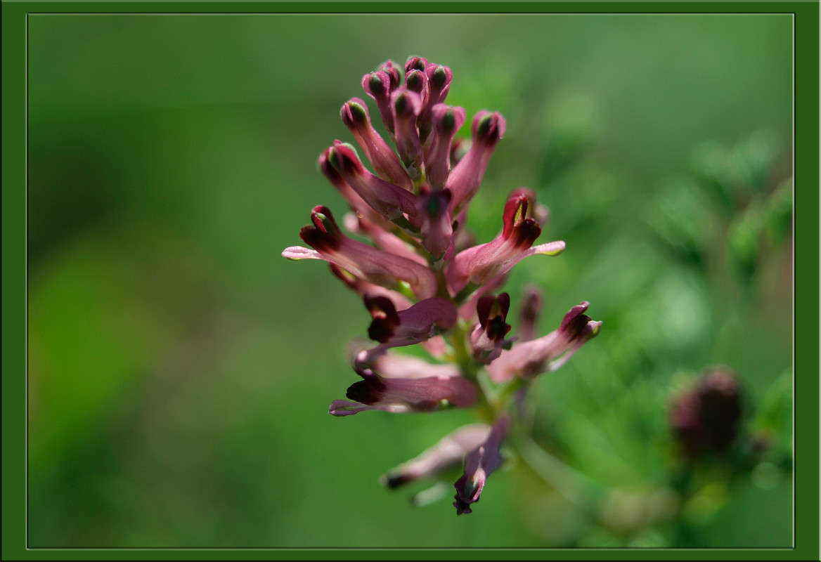 �� ���� ����� ������  �� PhotoGeek.ru #������ ��� �������