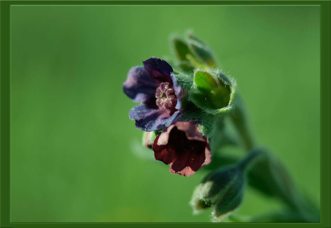 �� ���� 2 ����� ������  �� PhotoGeek.ru #������ ��� �������