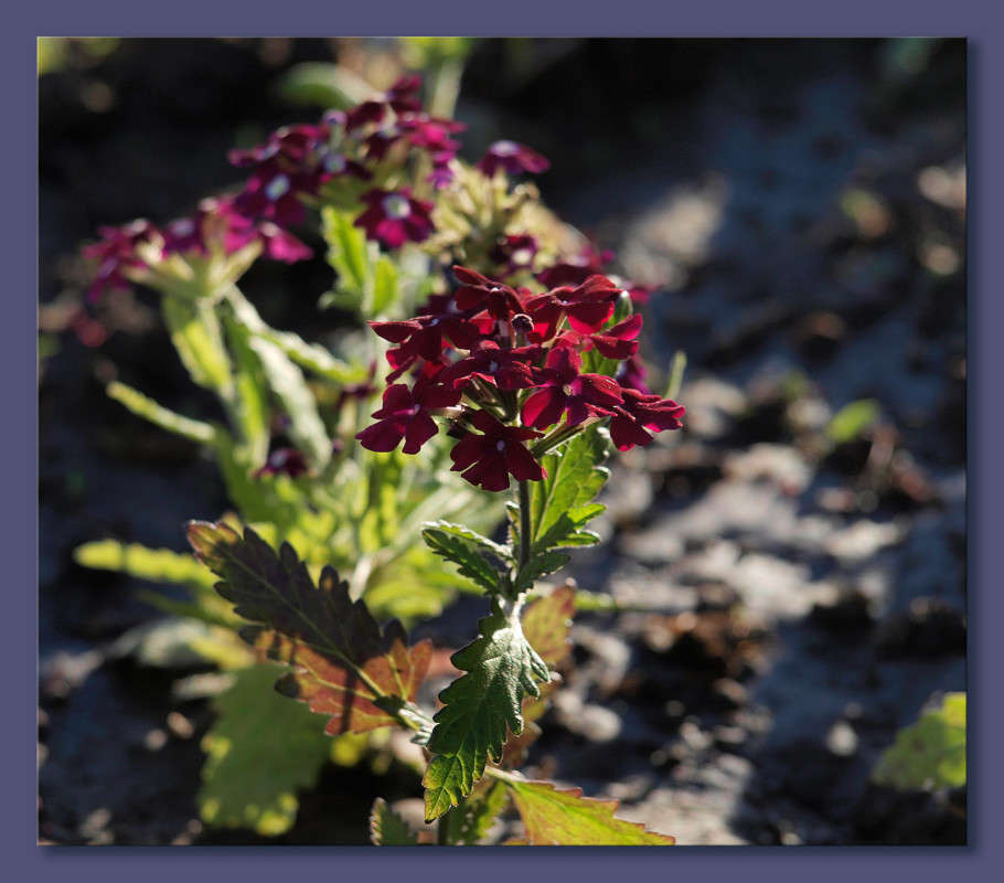 �� ���� 3 ����� ������  �� PhotoGeek.ru #������ ��� �������