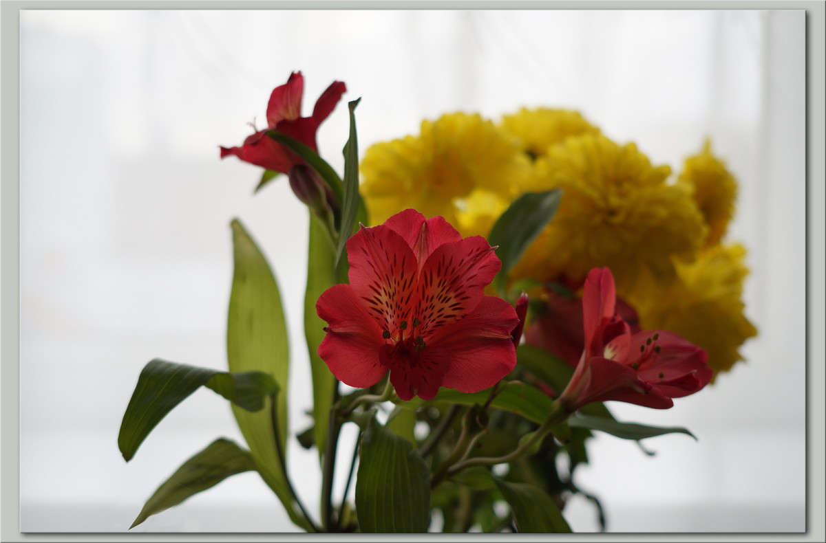 ����� ����������� ����� ������  �� PhotoGeek.ru #�������� ����������