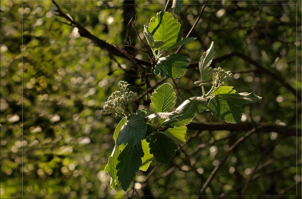 �������� ����� ������  �� PhotoGeek.ru #������ ��� �������