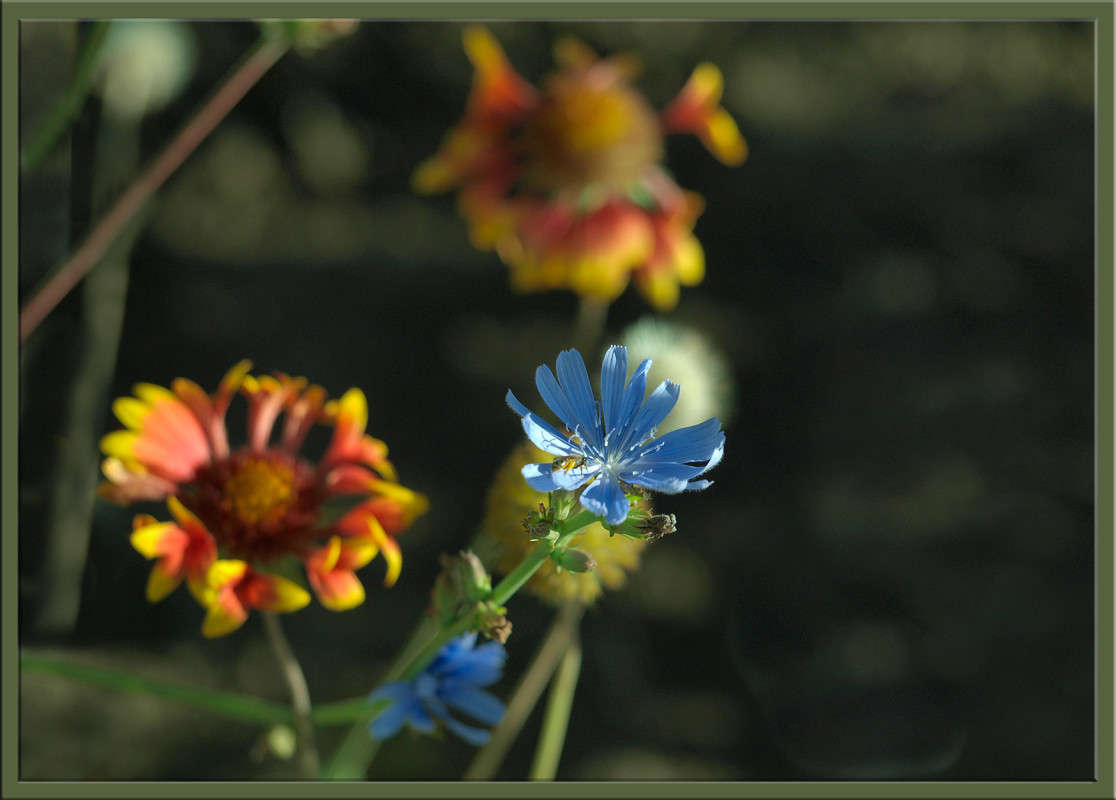 �� ���� 5 ����� ������  �� PhotoGeek.ru #������ ��� �������