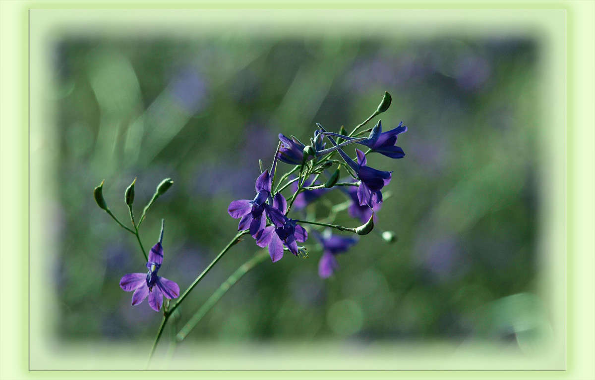 �� ���� 4 ����� ������  �� PhotoGeek.ru #������ ��� �������