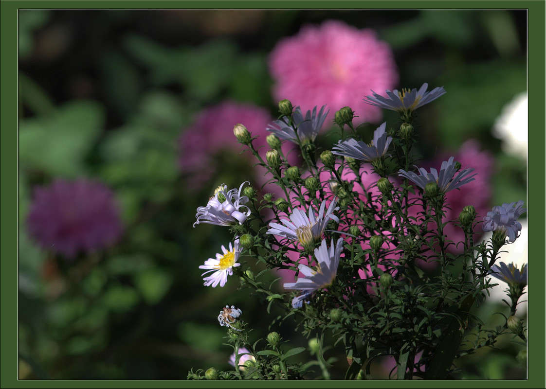 ����� ������ ����� ������  �� PhotoGeek.ru #������ ��� �������