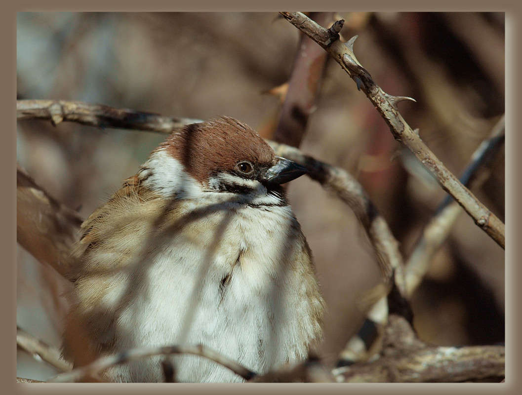 ��� � ������ ������� ����� ������  �� PhotoGeek.ru #�������� ���