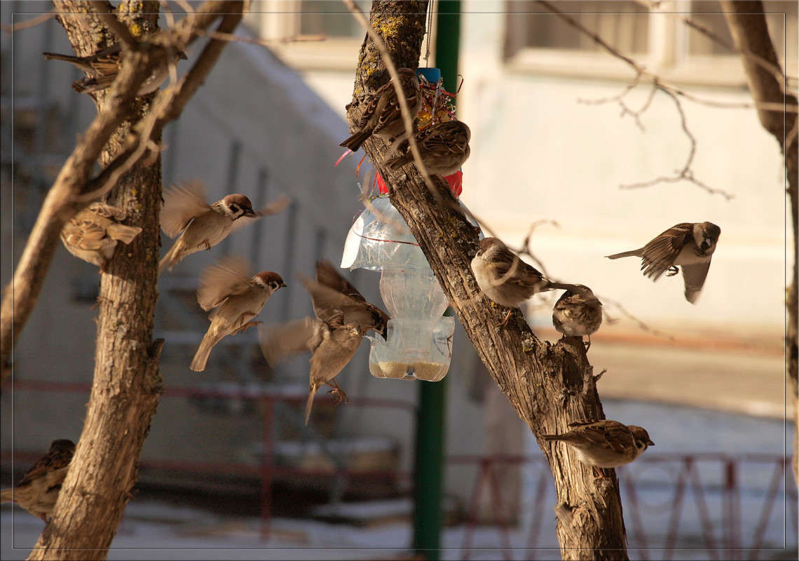 ����� �� ���� ����� ������  �� PhotoGeek.ru #�������� ���