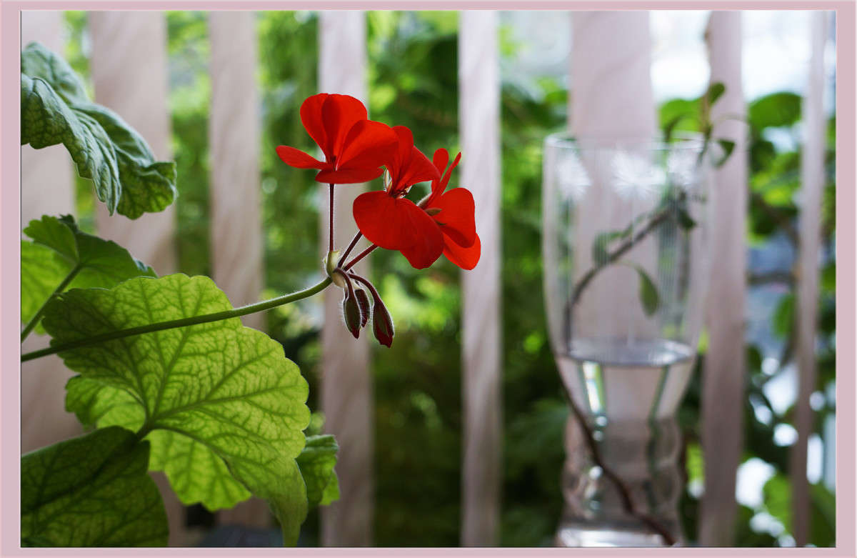 �������� � ������� ����� ������  �� PhotoGeek.ru #�������� ����������