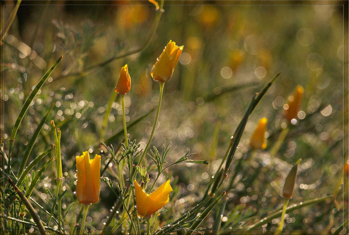 ����� ����� ����� ����� ������  �� PhotoGeek.ru #������ ��� �������