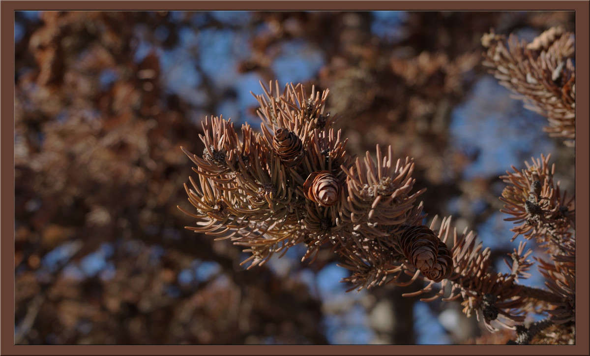 ������� ������� � ������� ����� ������  �� PhotoGeek.ru #������ ��� �������