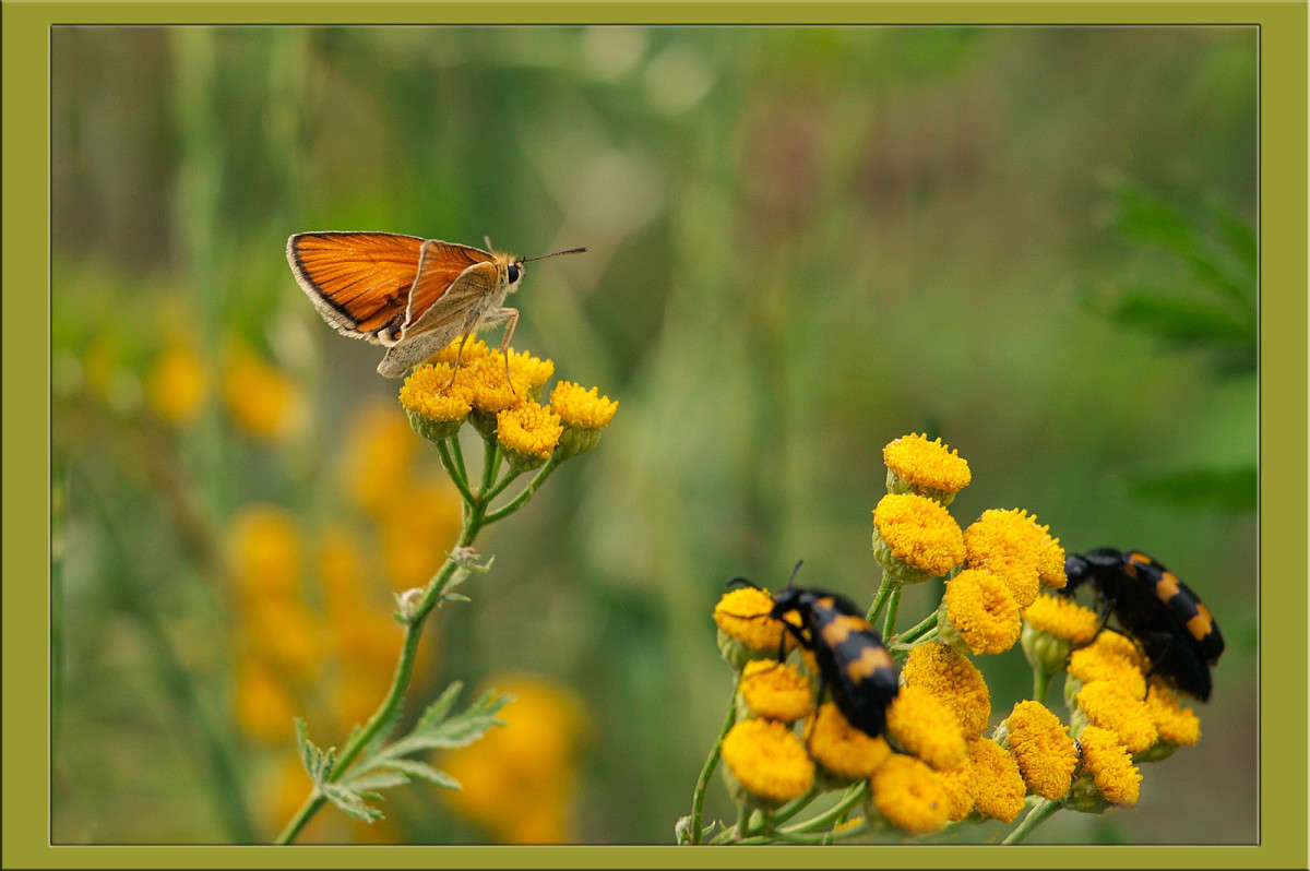 ������ �� ������ ����� ������  �� PhotoGeek.ru #������ ��� �������