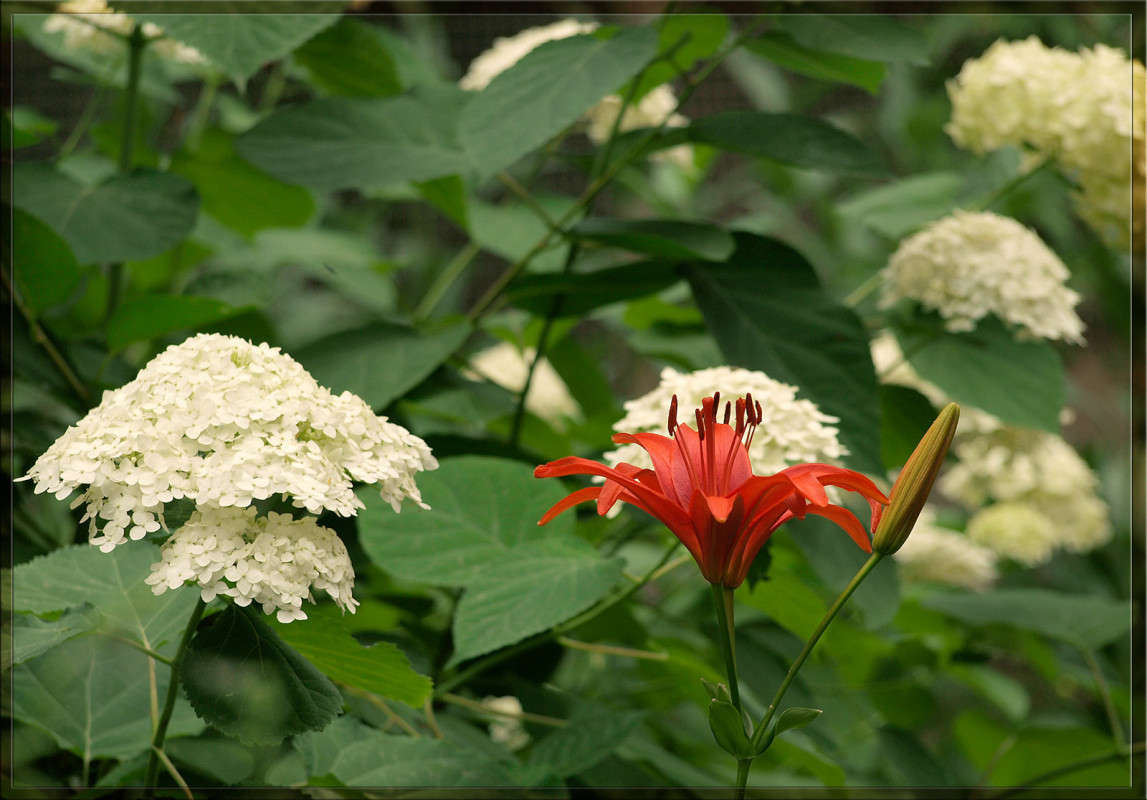 ������� �� ����� ����� ������  �� PhotoGeek.ru #������ ��� �������