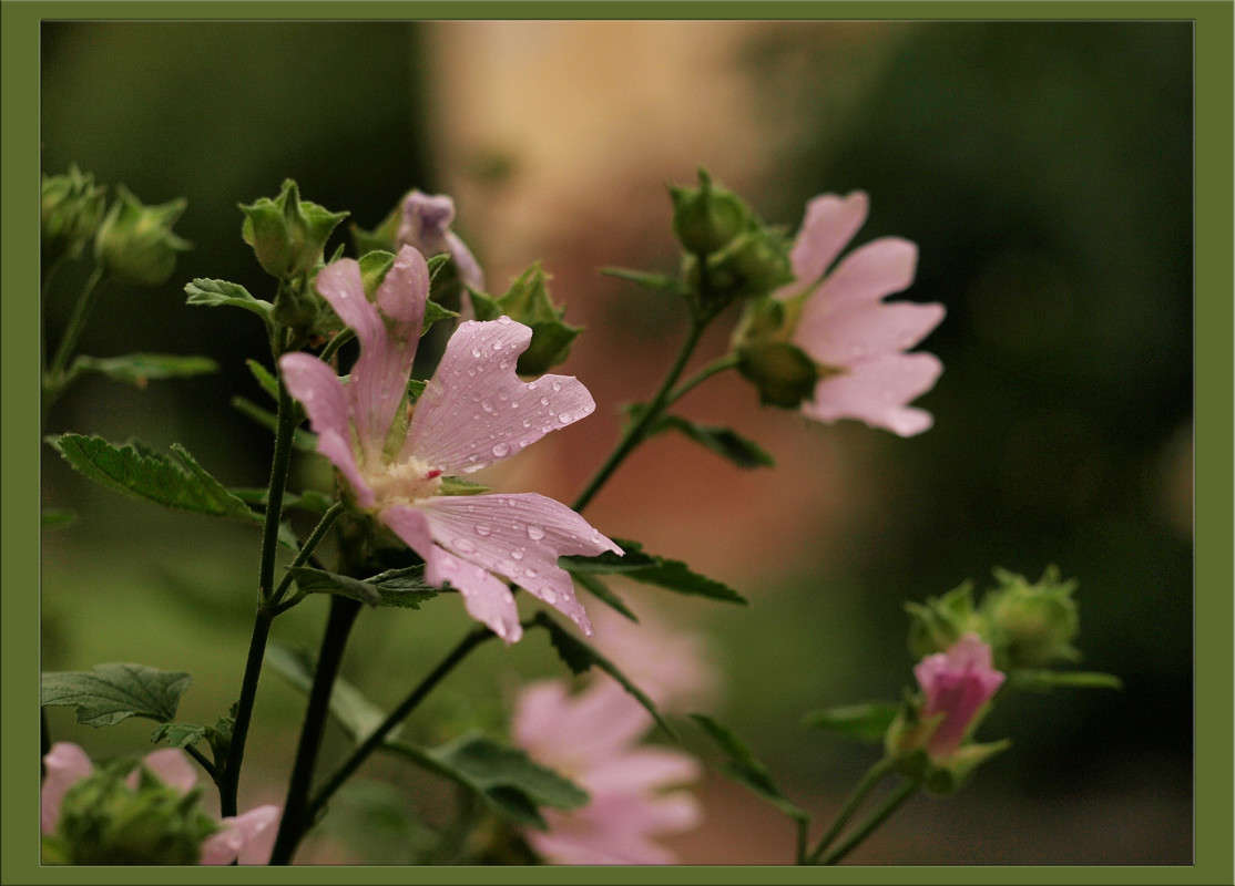 ����� �������� ������ ����� ������  �� PhotoGeek.ru #������ ��� �������