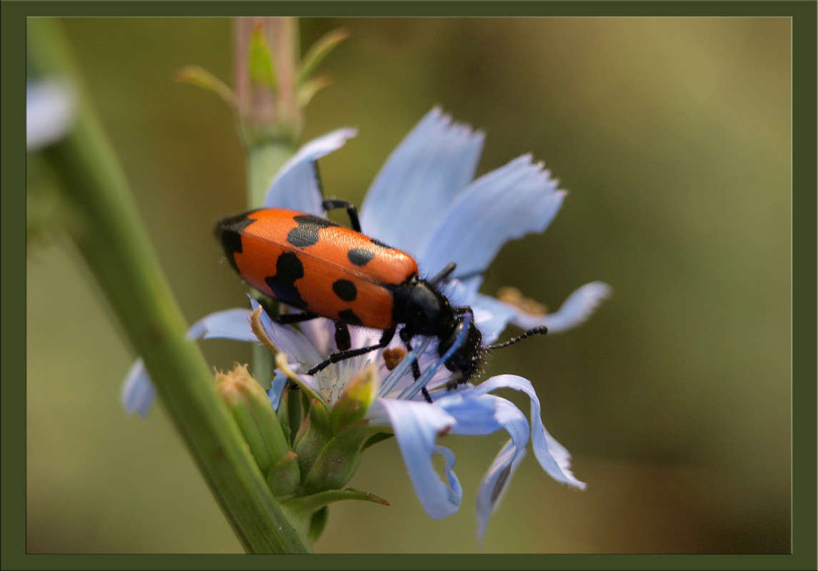 ����� ��������� ����� ������  �� PhotoGeek.ru #�����