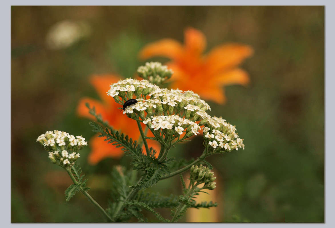 ����� ����� ������  �� PhotoGeek.ru #�����