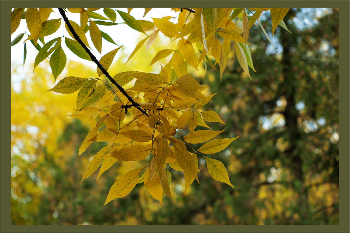 ��������� ����� ����� ������  �� PhotoGeek.ru #������ ��� �������