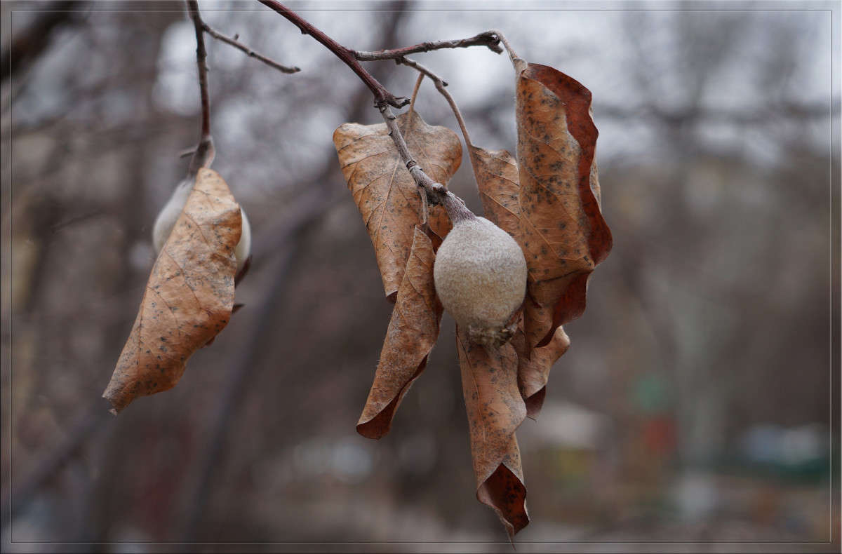 ���� �� �������� � ������� ����� ������  �� PhotoGeek.ru #������ ��� �������