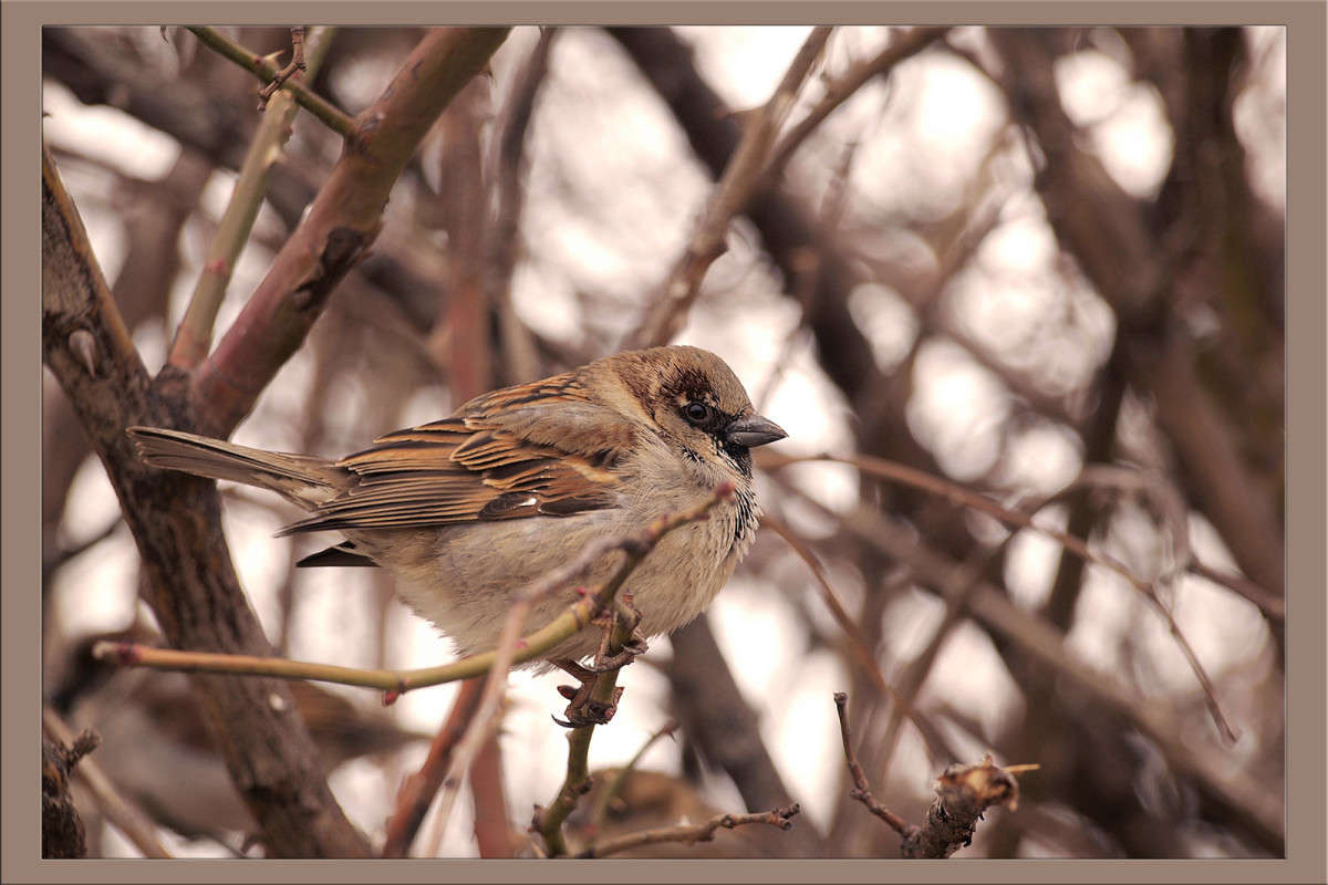 ��� �� �� ������� ����� ������  �� PhotoGeek.ru #�������� ���