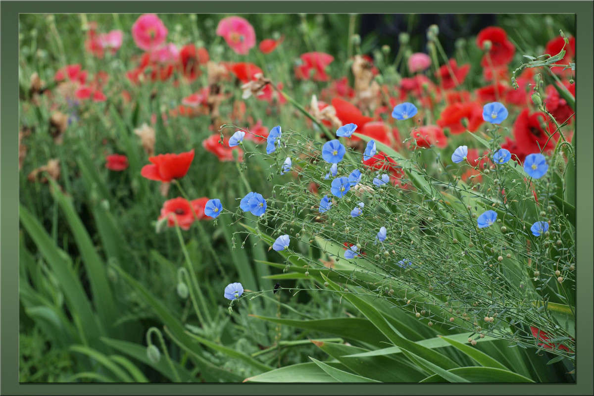 ������ ����� ����� ������  �� PhotoGeek.ru #������ ��� �������