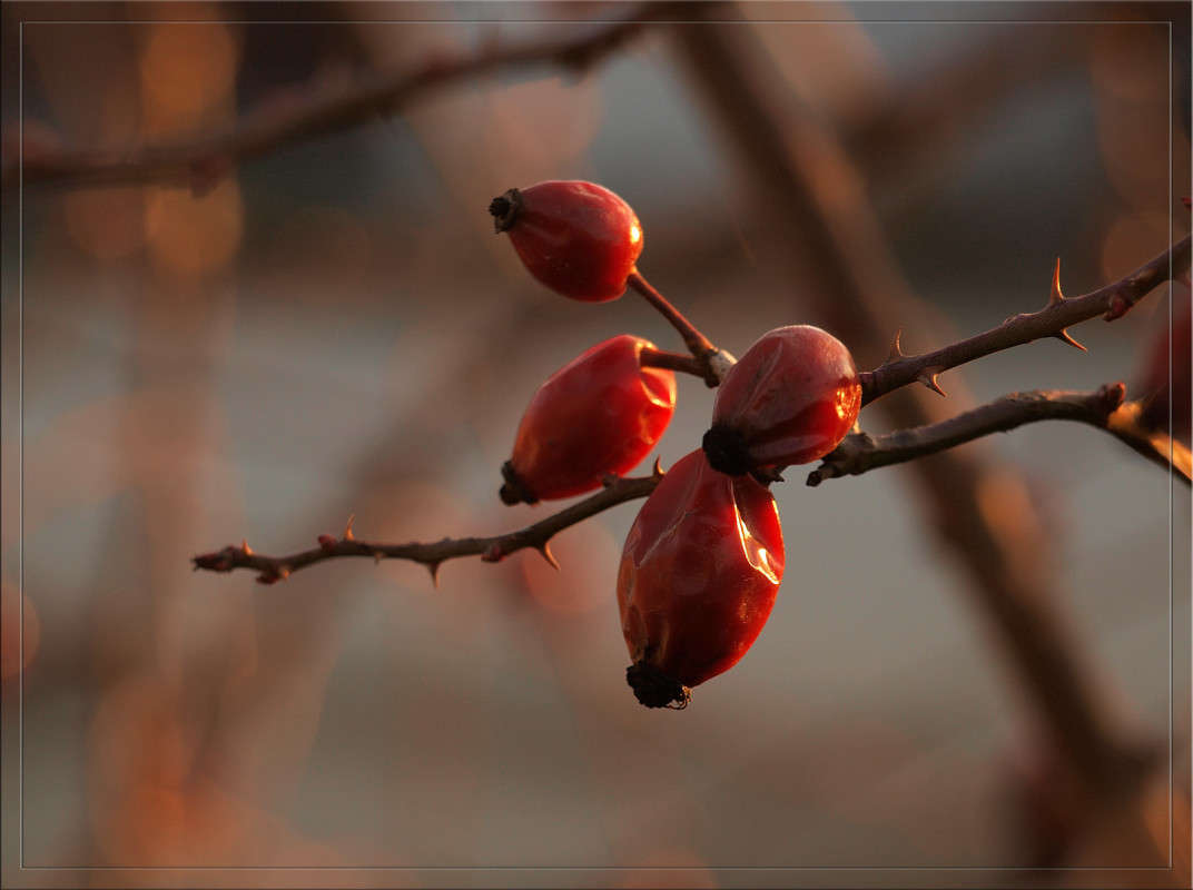 ������ ����� ������ ����� ������  �� PhotoGeek.ru #������ ��� �������