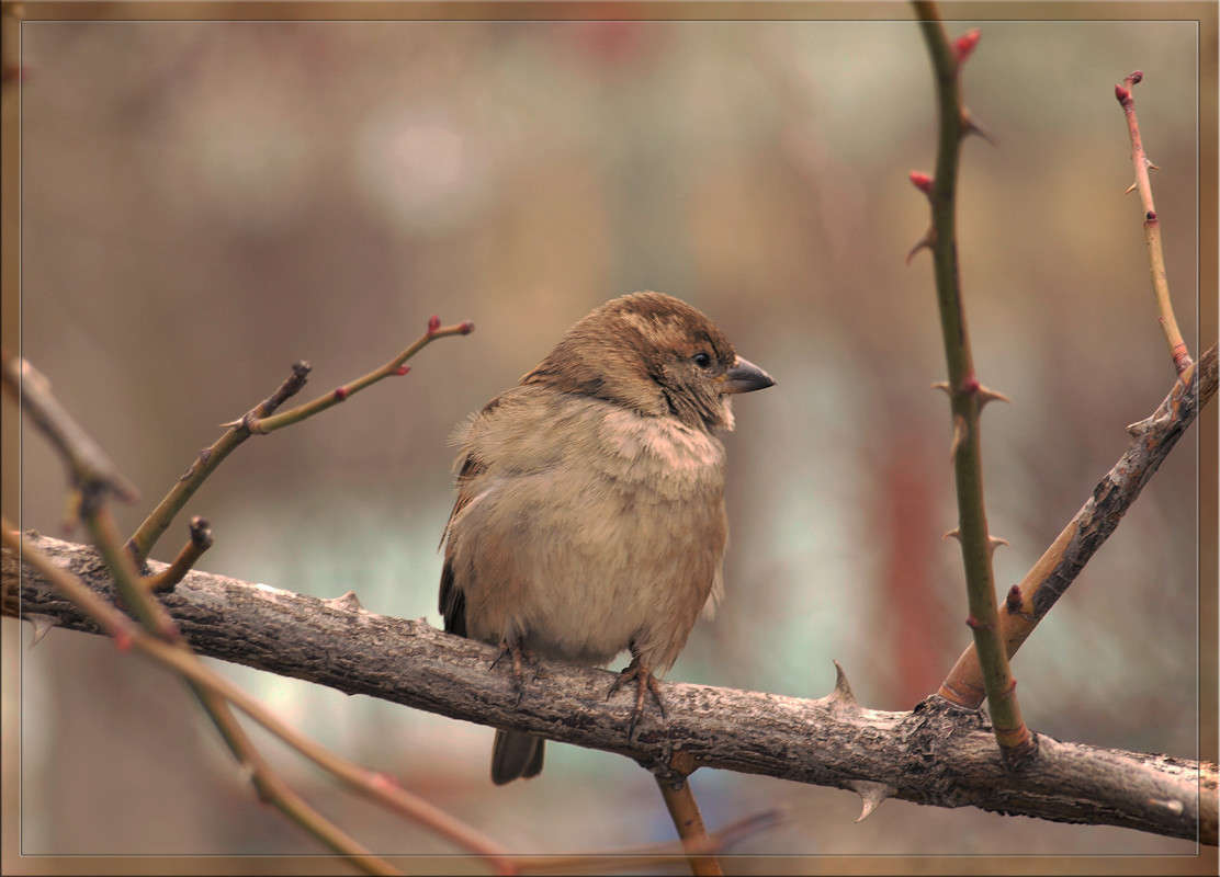 ��������� ����� ������  �� PhotoGeek.ru #�������� ���