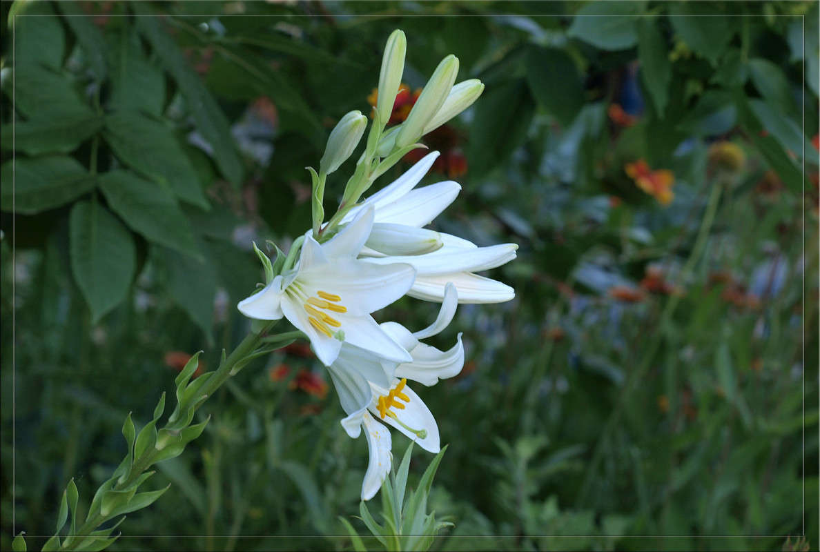 �������� 2014 ���� ����� ������  �� PhotoGeek.ru #������ ��� �������