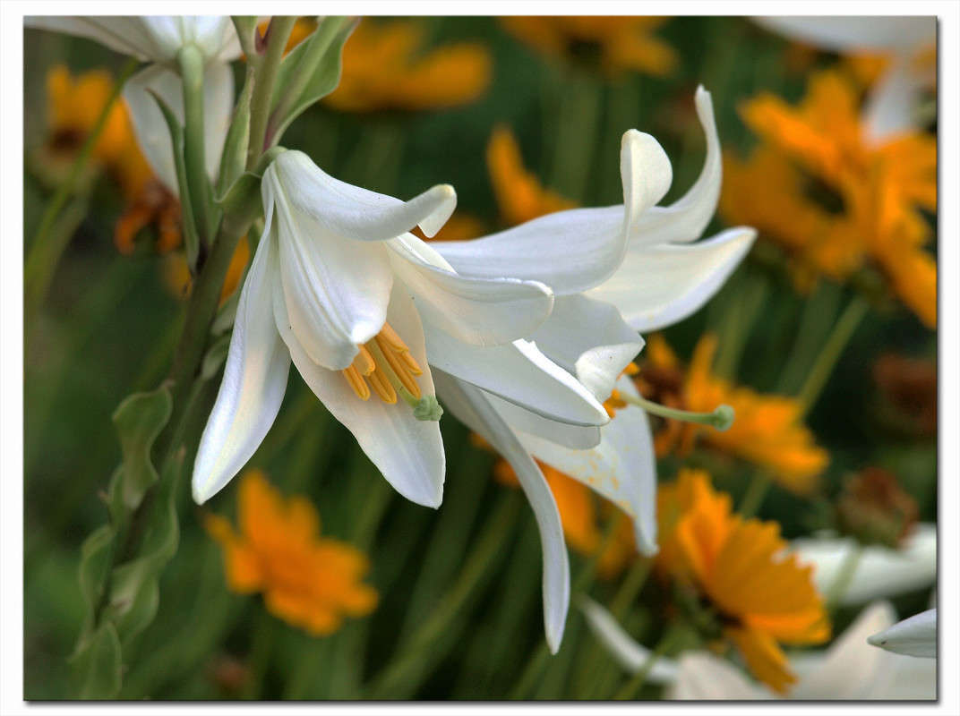 �������� 2014 ���� 2 ����� ������  �� PhotoGeek.ru #������ ��� �������