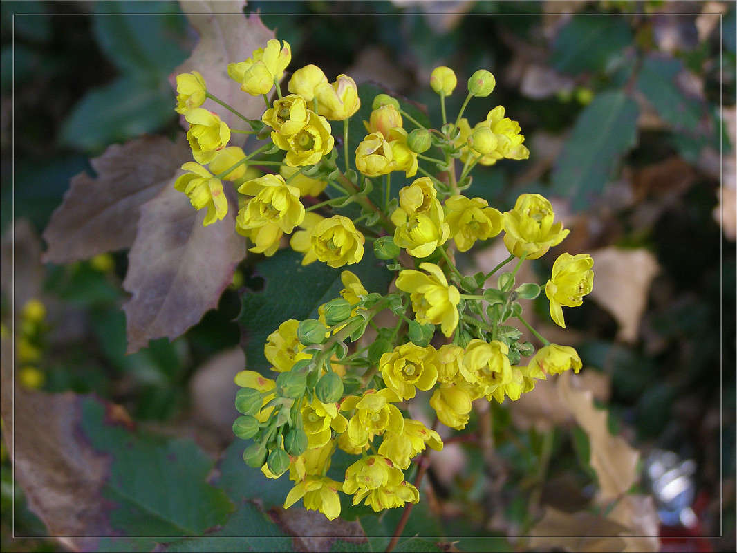 ������� ����� ����� ������  �� PhotoGeek.ru #������ ��� �������