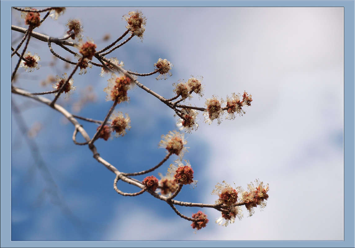 ������� �� �������� ����� ������  �� PhotoGeek.ru #������ ��� �������