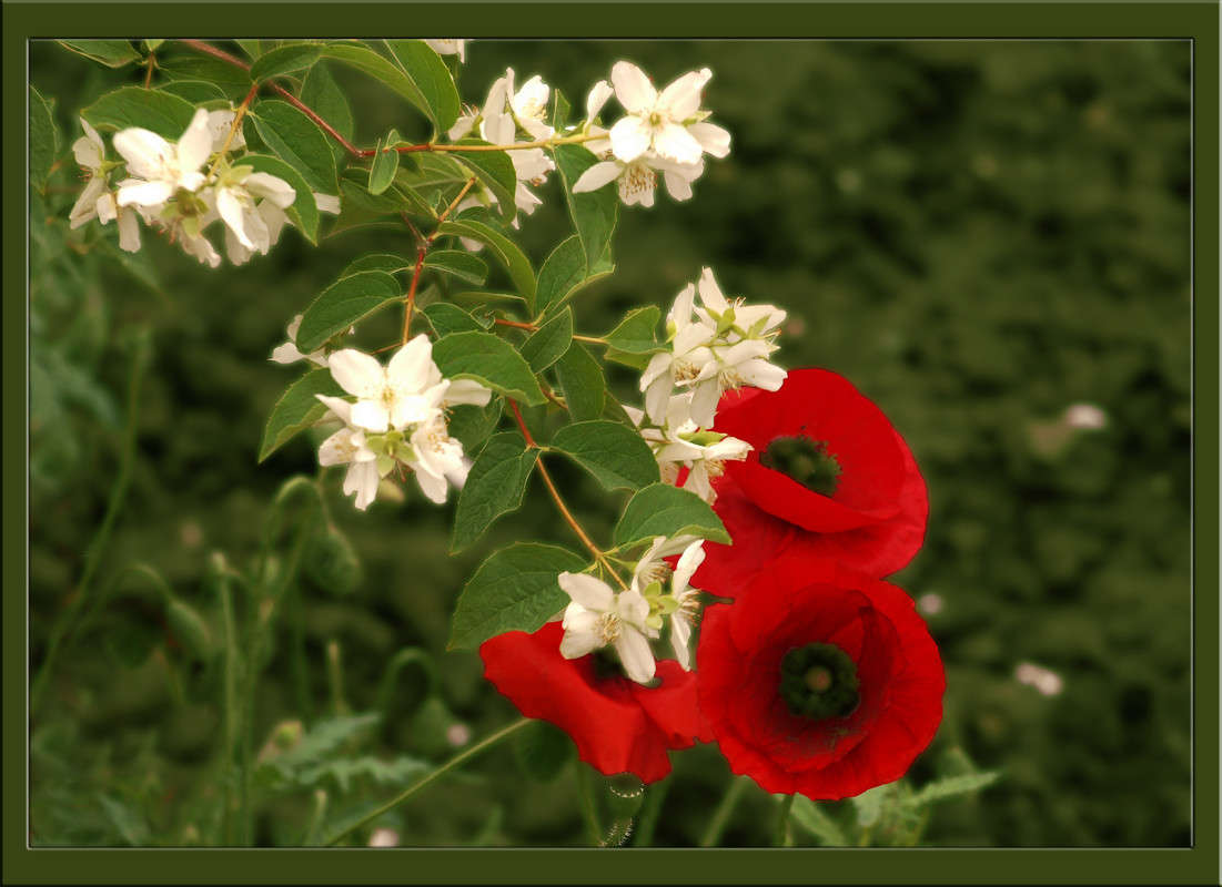 ������� �������� � ������ ����� ������  �� PhotoGeek.ru #������ ��� �������