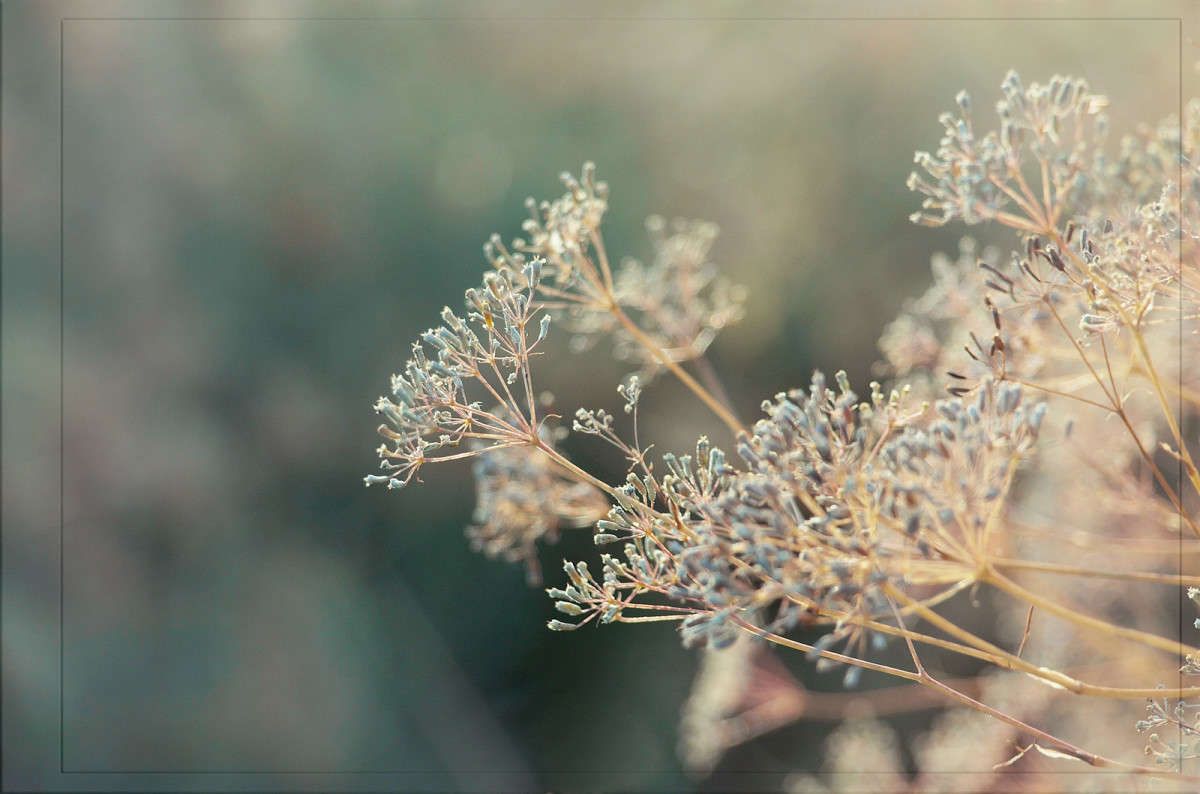 � ����� ��� ����� ����� ������  �� PhotoGeek.ru #������ ��� �������