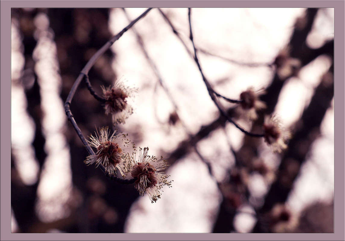 ������ ���� ����� ������  �� PhotoGeek.ru #������ ��� �������