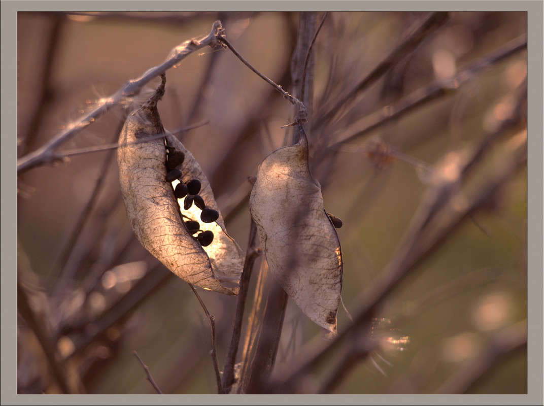 ������� � �� ���� ����� ������  �� PhotoGeek.ru #������ ��� �������