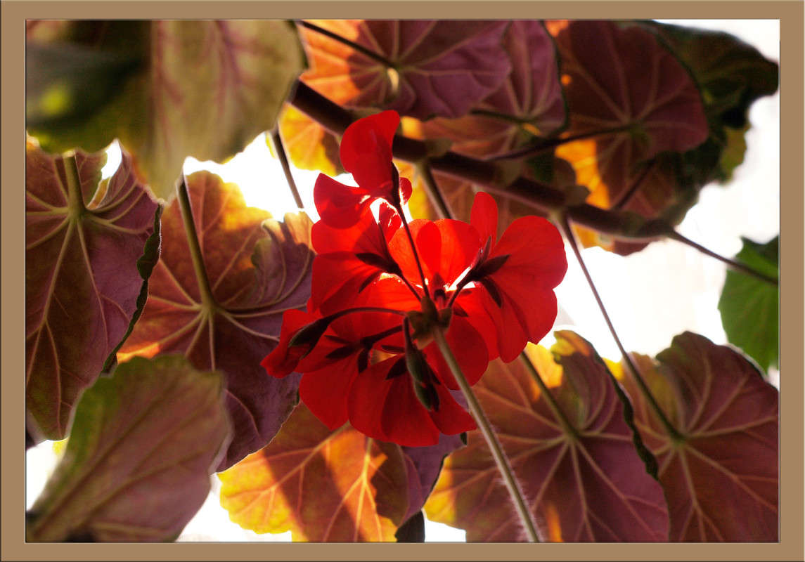 �������� ����� ������  �� PhotoGeek.ru #������ ��� �������