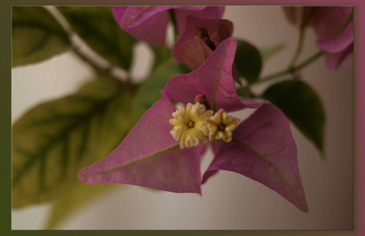 ����������� ������ ����� ������  �� PhotoGeek.ru #�����